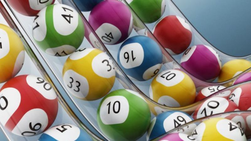 Dàn đề nuôi 2 ngày hiệu quả nhất từ các chuyên gia nuôi lô