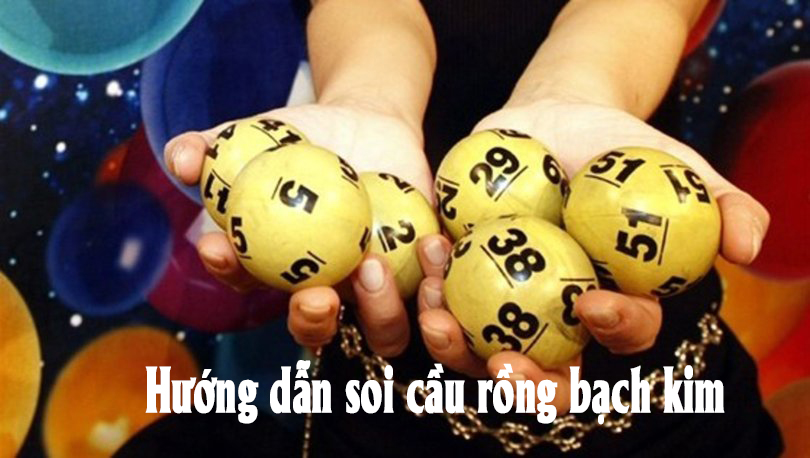 Tìm hiểu về rồng bạch kim và kinh nghiệm soi cầu trên rồng bạch kim | Diễn Đàn Thế Giới Da - Khoaleather